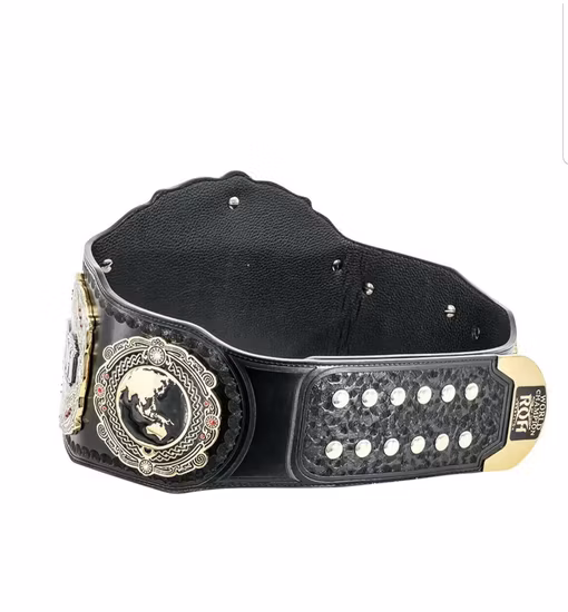 Cintura da campionato popolare personalizzata all'ingrosso Universale Heavy Weight Ufc Muay Thai Wwe MMA Wwf Kickboxing Wrestling Champion Belt Titolo Tna Bmf Nxt Wbc Cintura da boxe